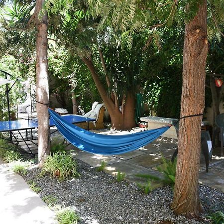 B&B Al Vecchio Glicine Torre Canne Exterior photo